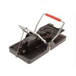 Rentokil Advanced Mouse Traps Pack Of 2 5 Rentokil Advanced Mouse Traps Pack Of 2 -Outlet The Build Edge Store 0041996 700