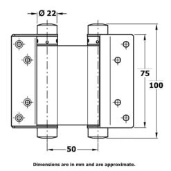 Double Action Hinges 75mm Pair For 20 - 25mm Doors -Outlet The Build Edge Store 0060517 700