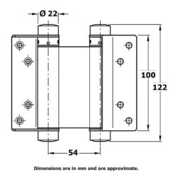 Double Action Hinges 100mm Pair For 21 - 30mm Doors -Outlet The Build Edge Store 0060520 700