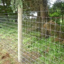 DEWALT DFS9200B1G 9 Gauge 50mm Staples For DCFS950 Fencing Stapler X 960 -Outlet The Build Edge Store 0091750 700